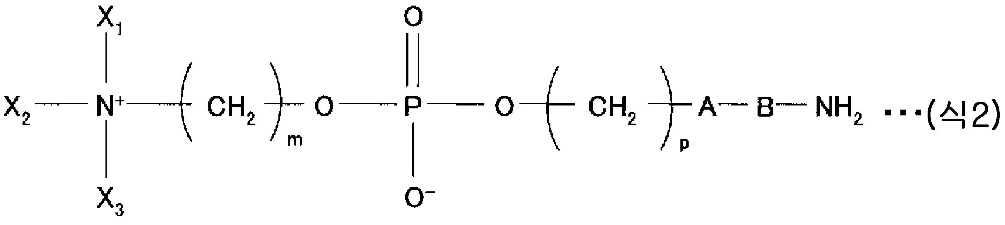 Figure 112009036499408-pct00013