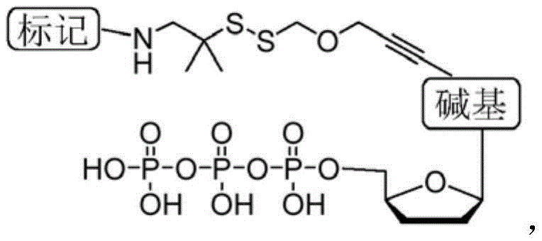 Figure BDA0003538717920000841