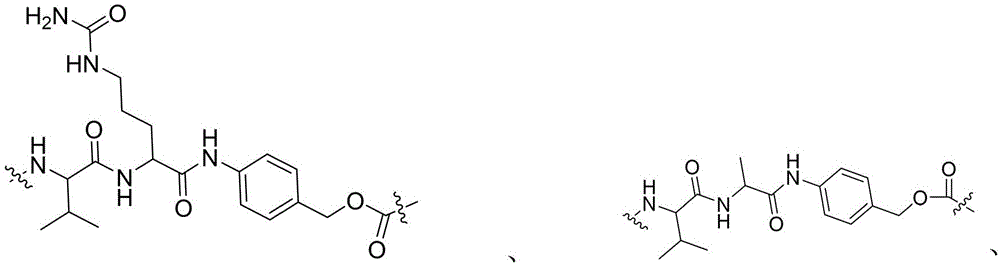 Figure FDA0003850165570000136