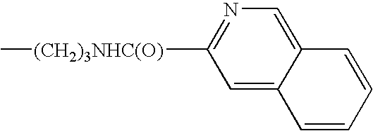 Figure US20090030031A1-20090129-C00900