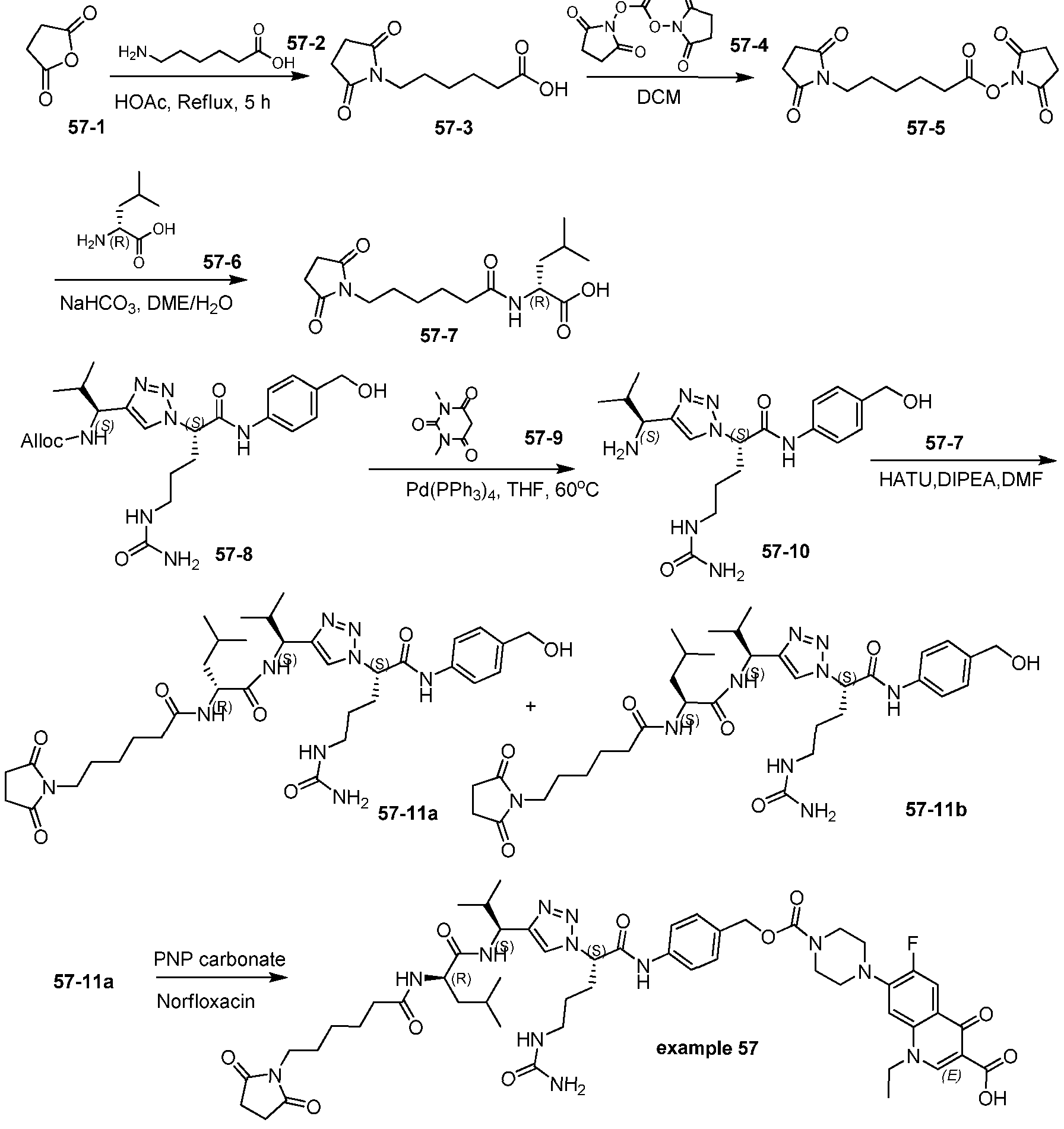 Figure imgf000168_0002