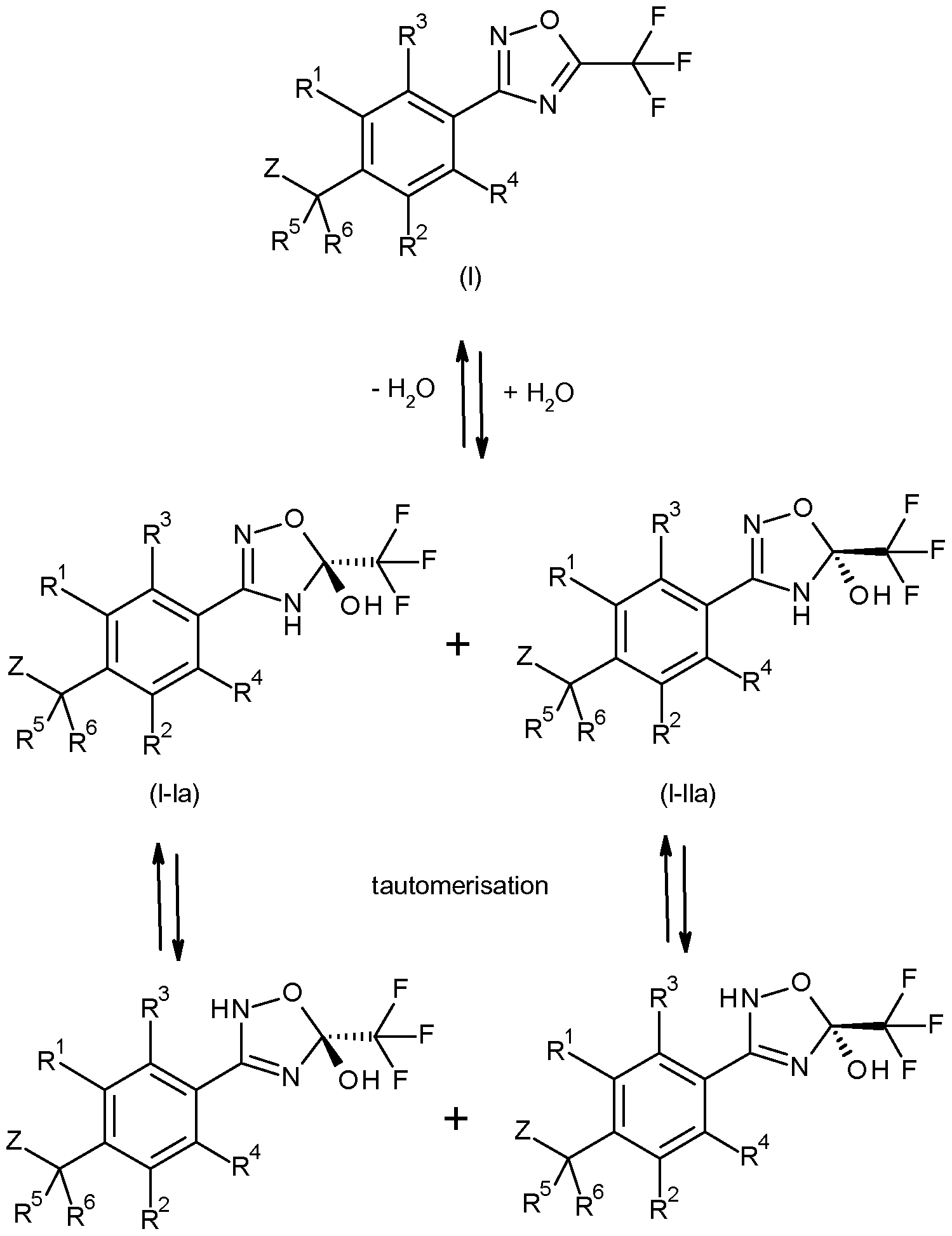 Figure imgf000009_0001
