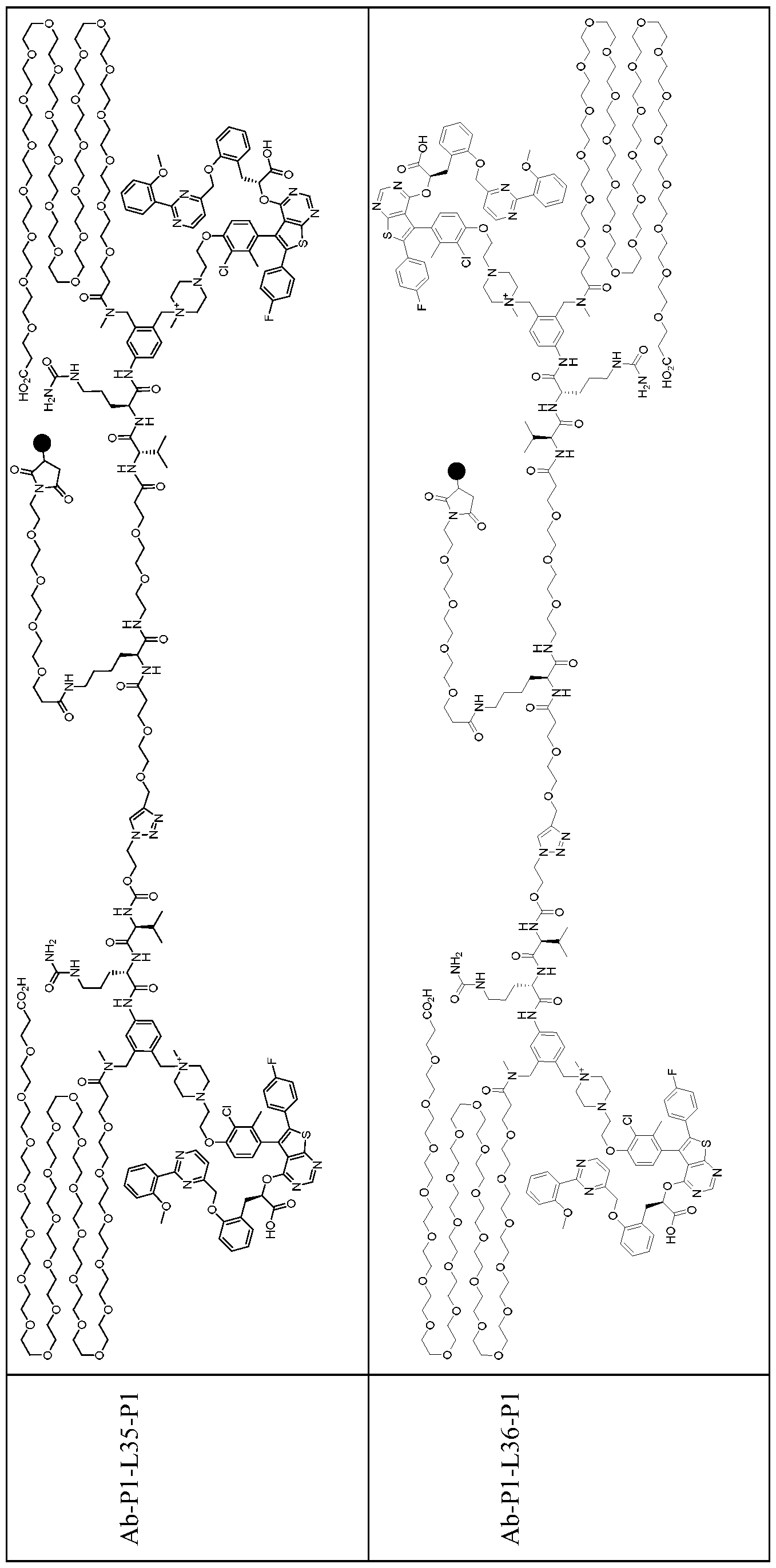 Figure imgf000181_0001