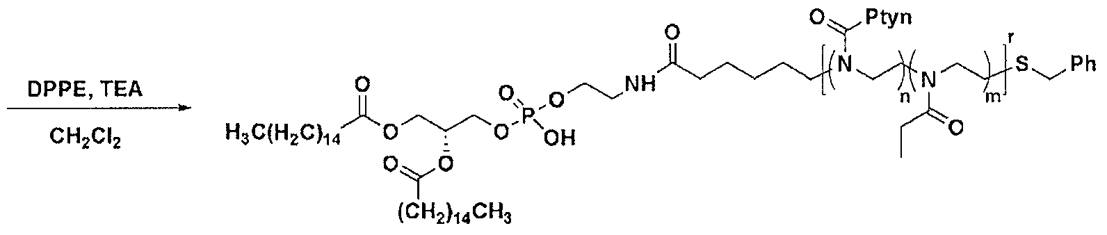 Figure imgf000032_0002