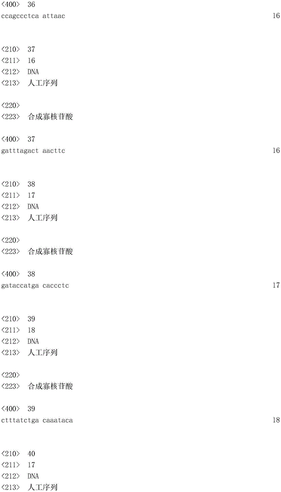 Figure IDA0003936212790001691