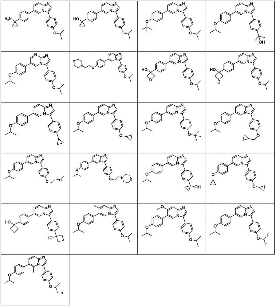 Figure BDA0003101608300000061