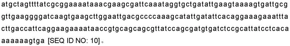 Figure BDA0002492233150000181