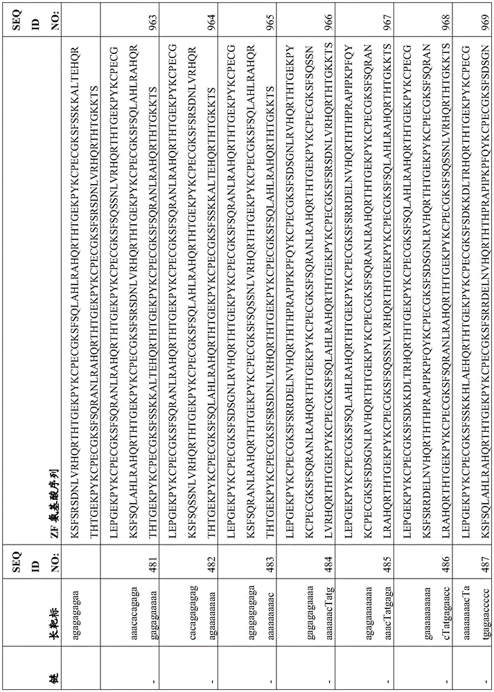 Figure BDA0003935065550001001