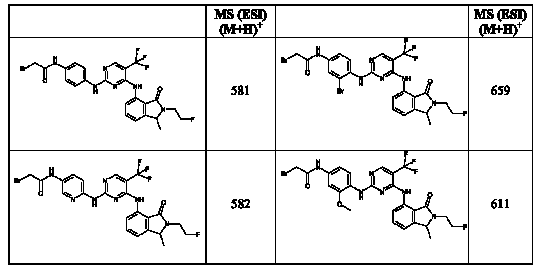 Figure 112007017455351-pct00079