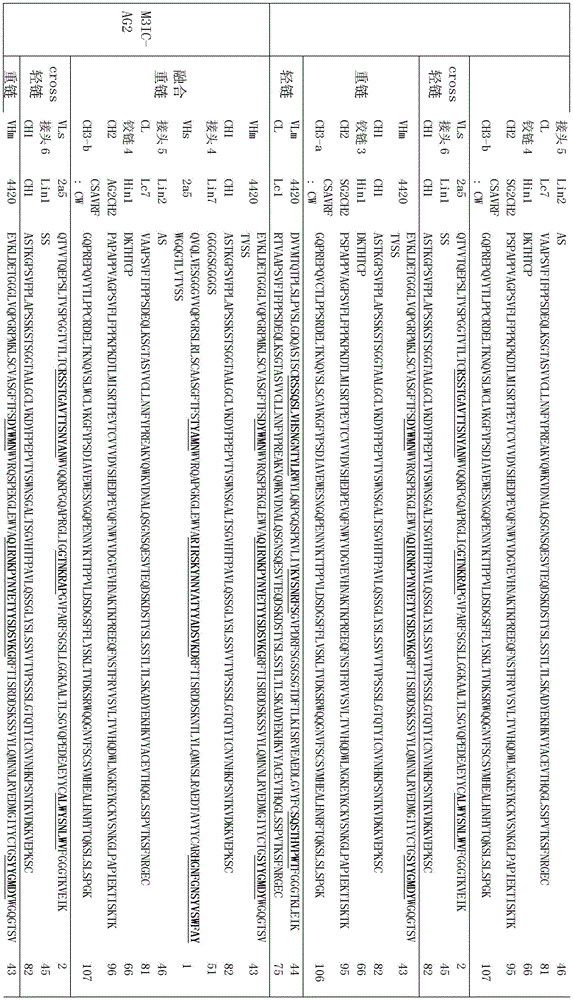 Figure BDA0002336612250001161