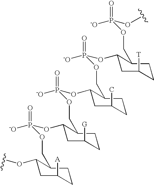 Figure US20060014144A1-20060119-C00018