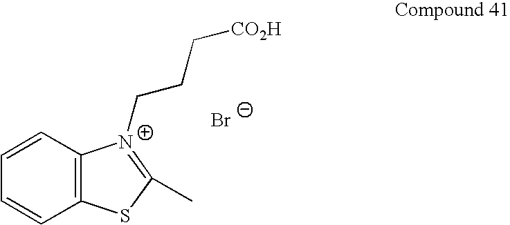 Figure US20090047683A1-20090219-C00064