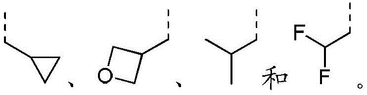 Figure GDA0002852195220000044