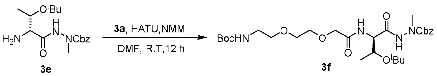 Figure imgf000029_0001