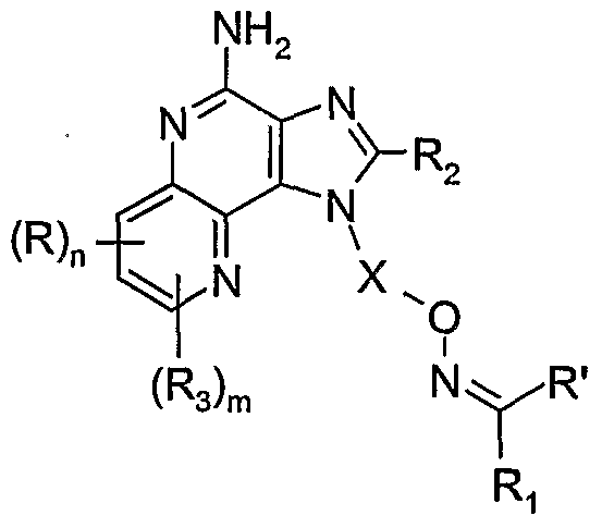 Figure imgf000005_0002