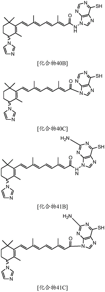 Figure BDA0003787763220000301