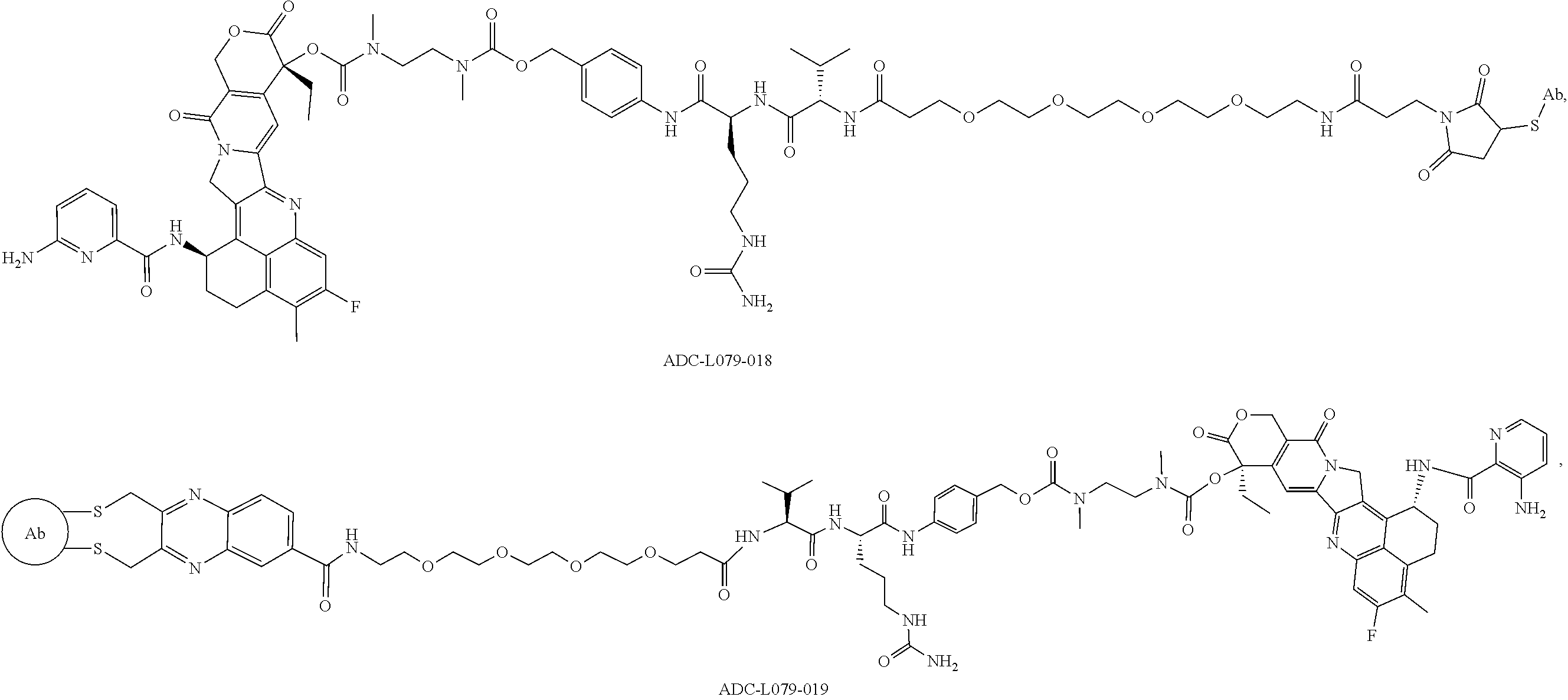Figure US20250205350A1-20250626-C00308