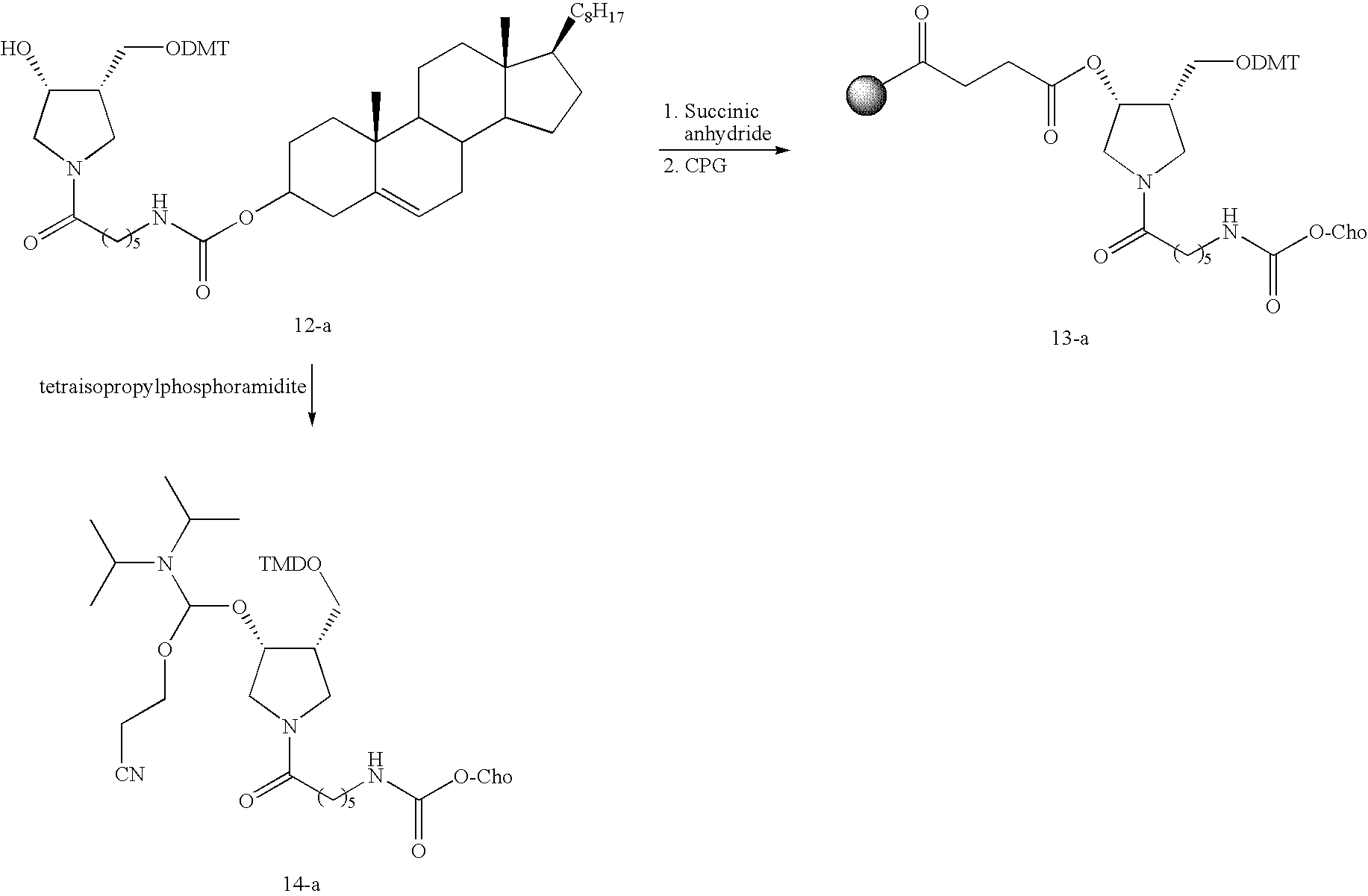 Figure US20090286973A1-20091119-C00071