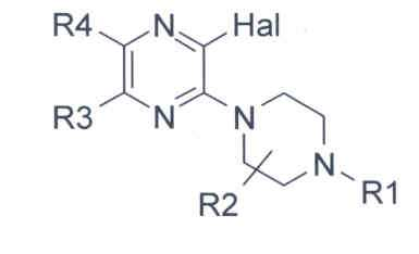 Figure 112007081403029-pct00018