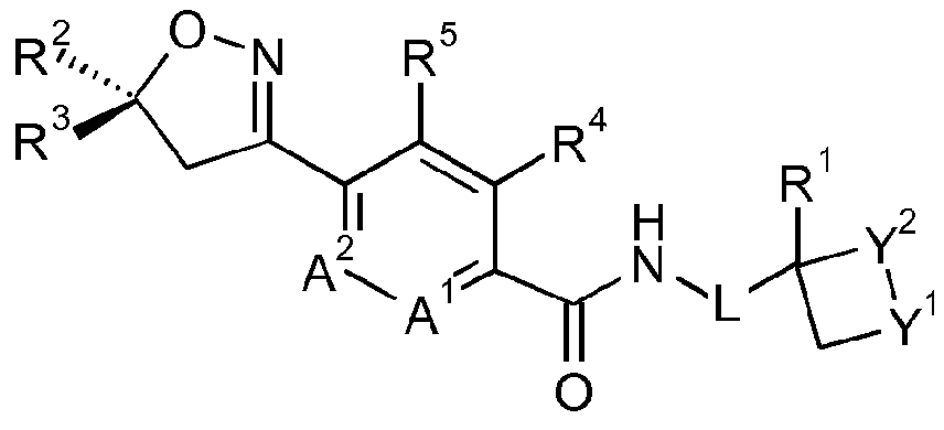 Figure imgf000005_0002