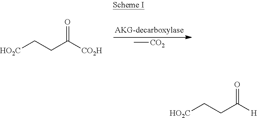Figure US20100021978A1-20100128-C00001
