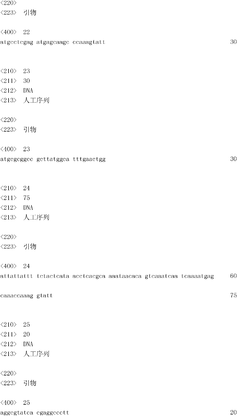 Figure IDA0000133447040000141