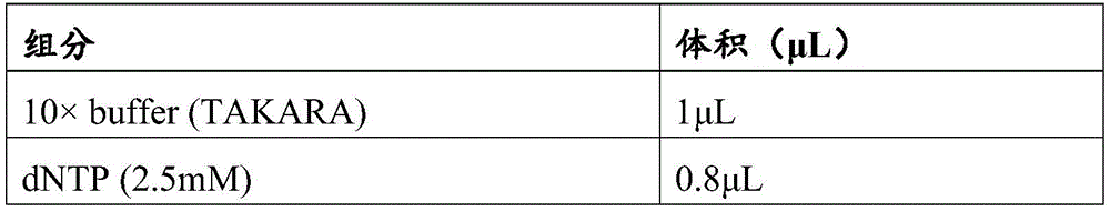 Figure GDA0003695642190000181