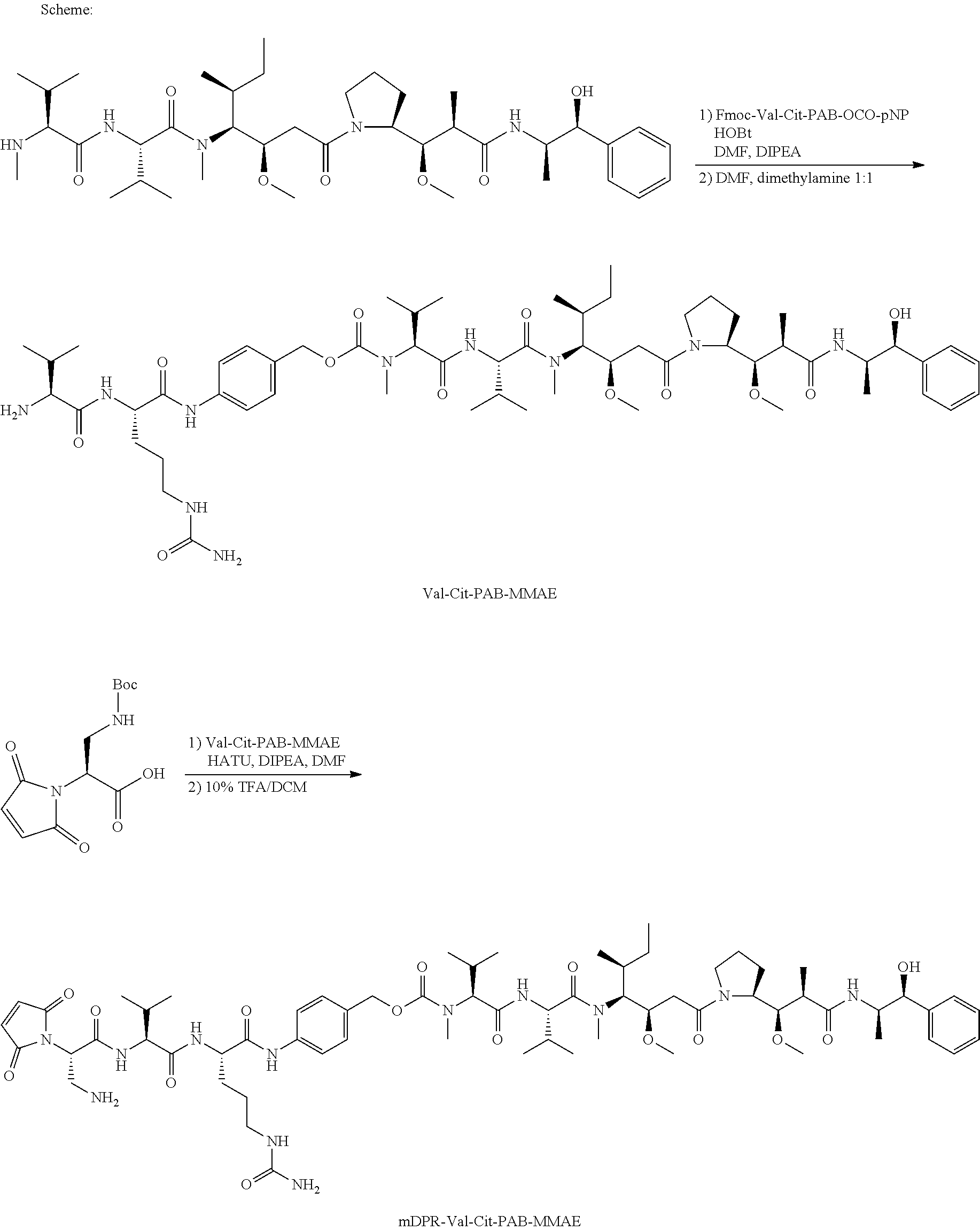 Figure US20130309256A1-20131121-C00090