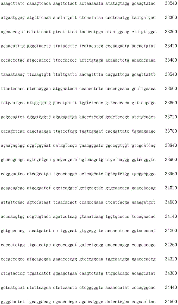 Figure IDA0002872168960001291