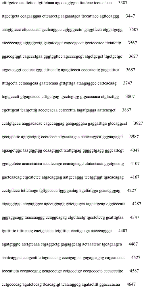 Figure IDA0000827411970000221