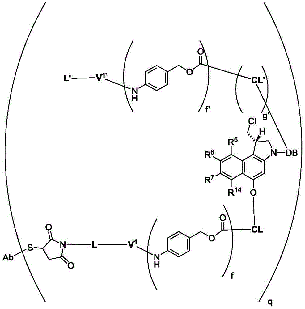 Figure GDA0002483706190001961