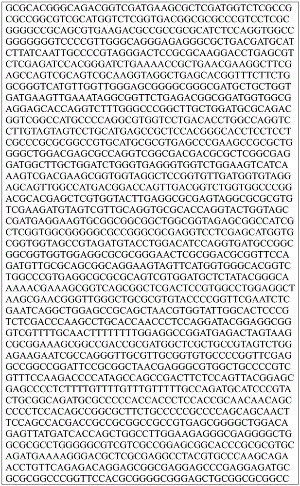 Figure BDA0002872168850002081