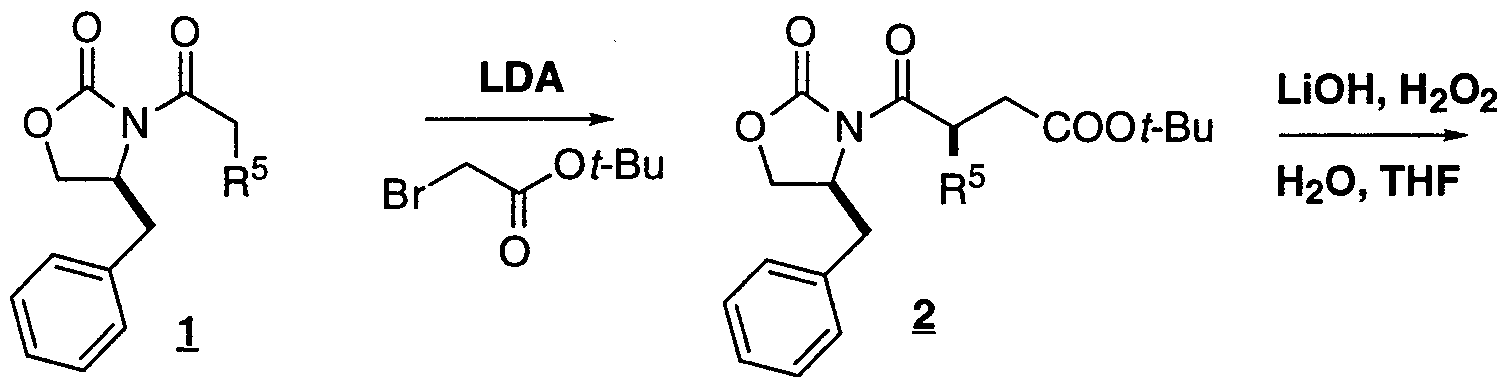 Figure imgf000050_0001