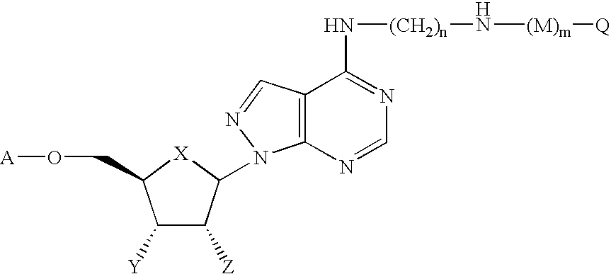 Figure US06864059-20050308-C00040