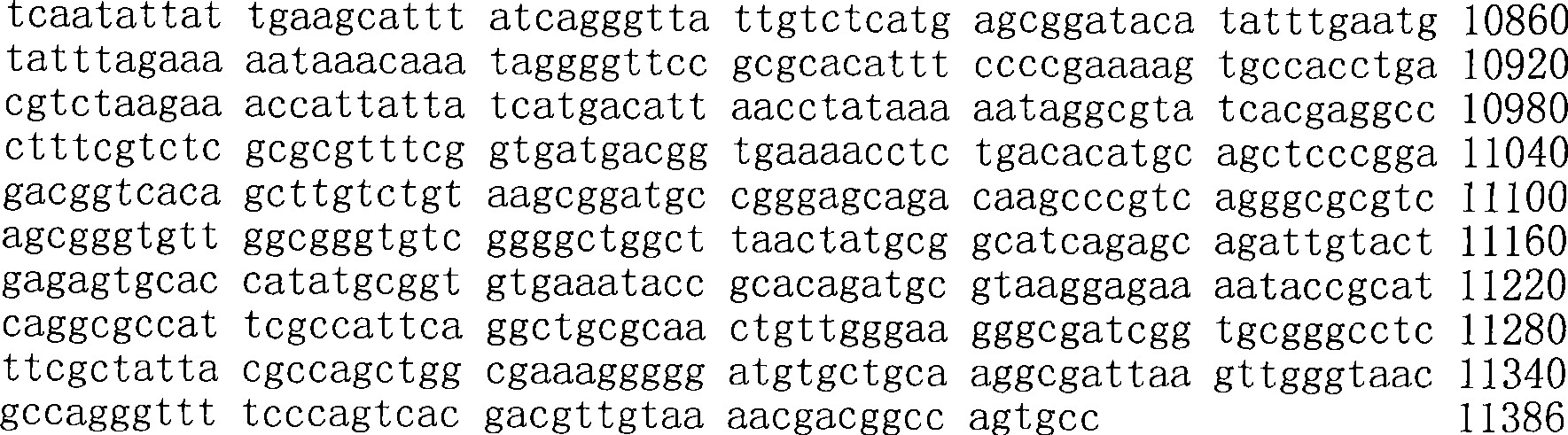 Figure A200780009494D02021