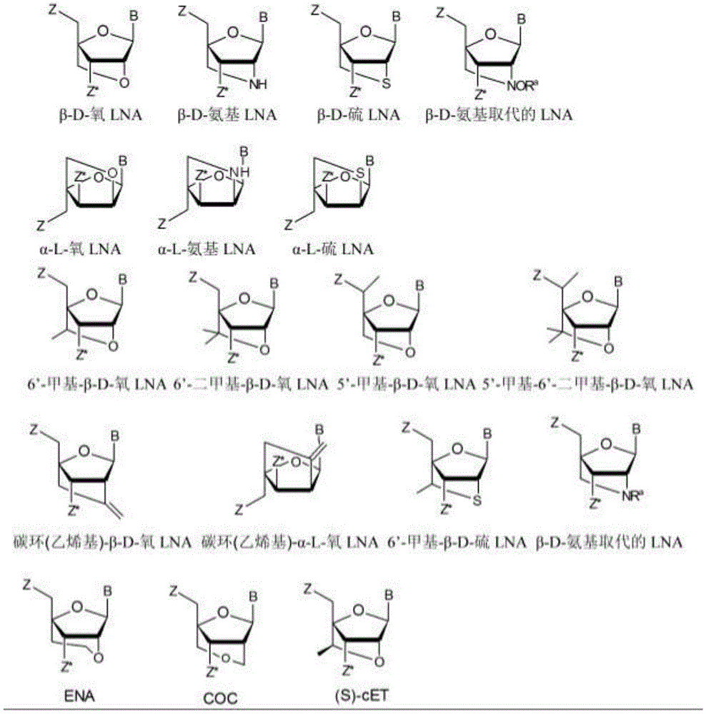 Figure BDA0002509100550000211