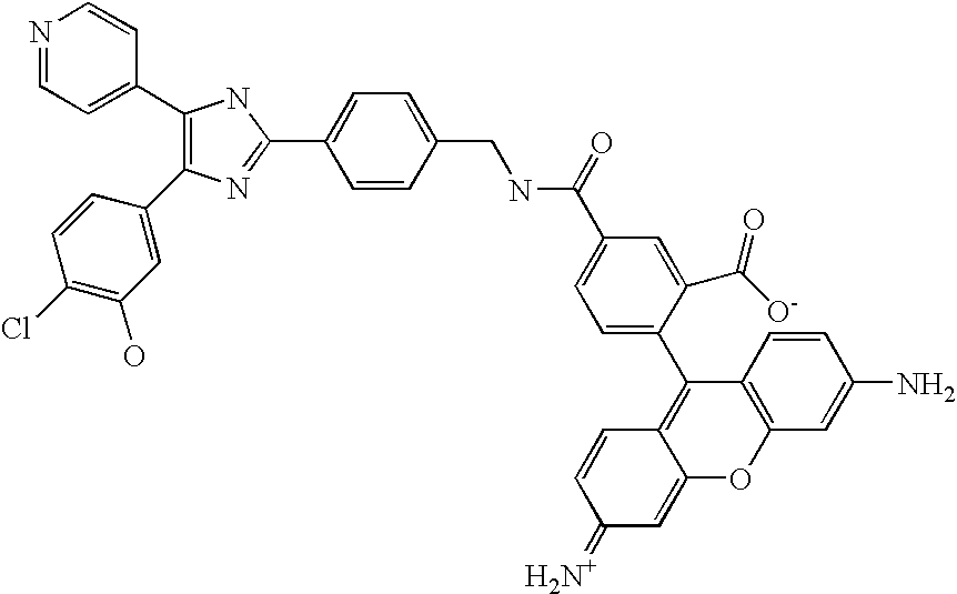 Figure US20090156597A1-20090618-C00305