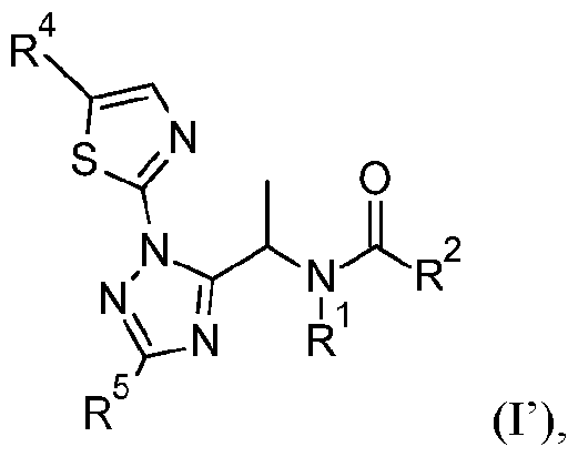 Figure imgf000010_0001