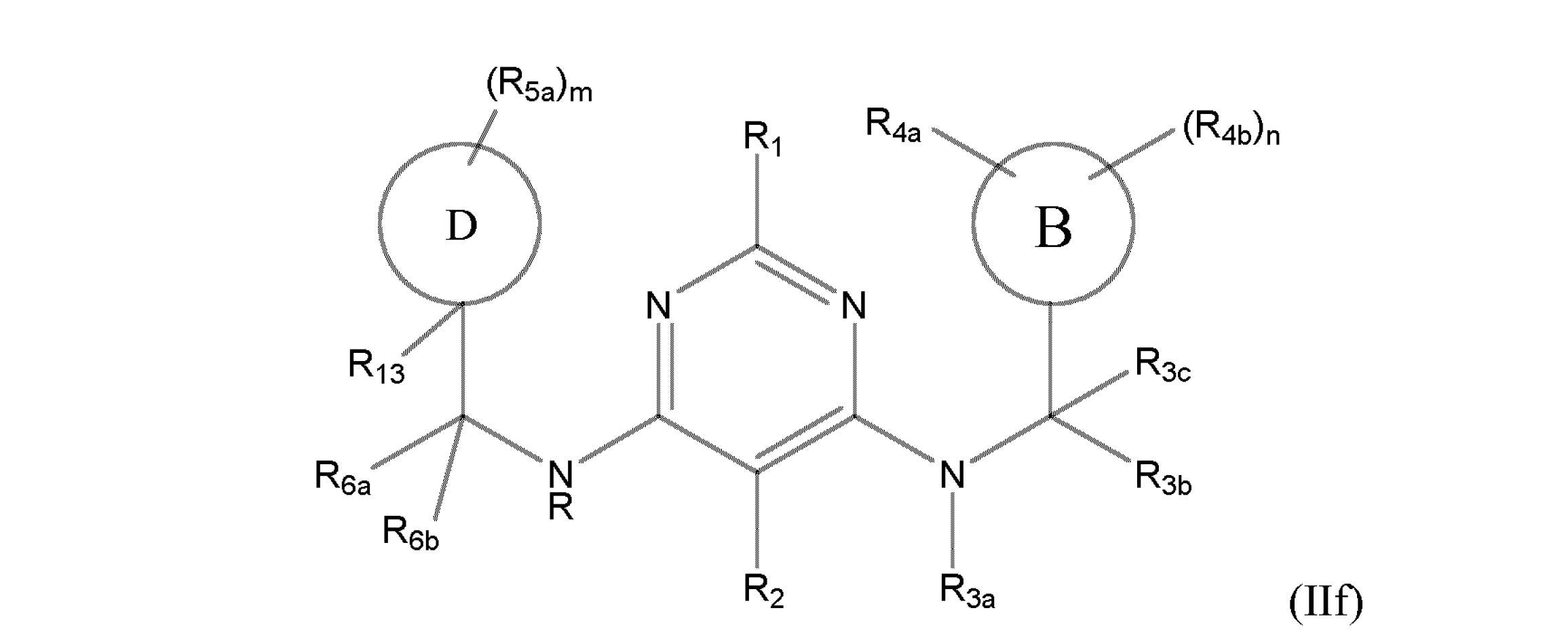 Figure 0007091596000013