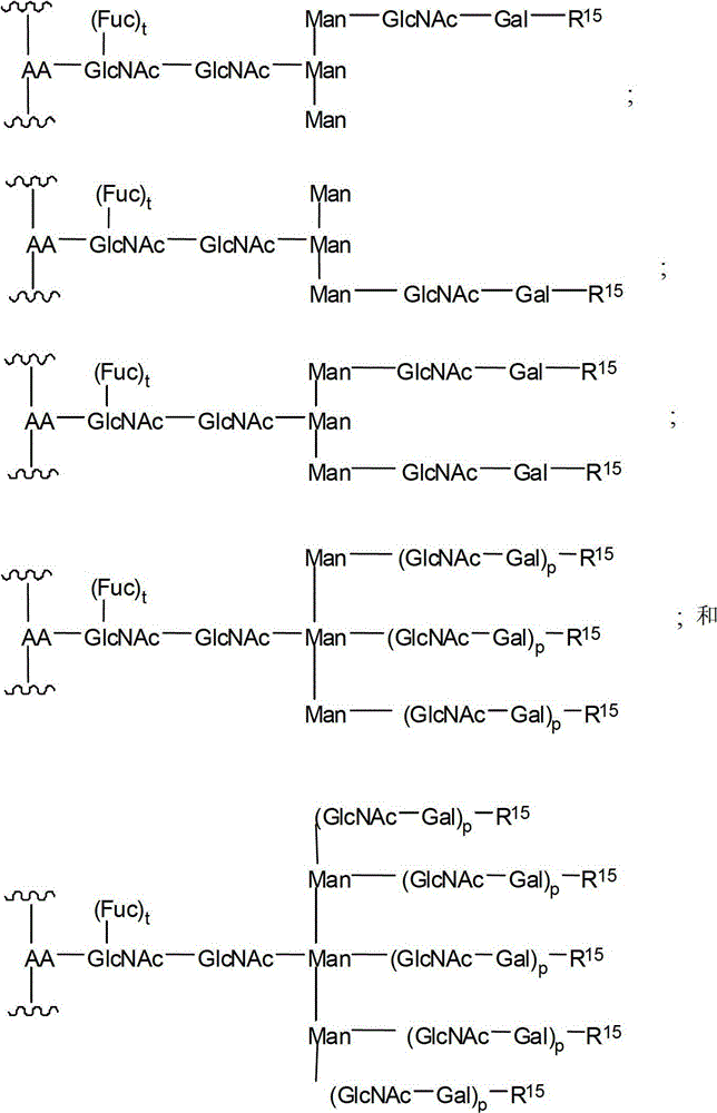 Figure BDA00001882625900962