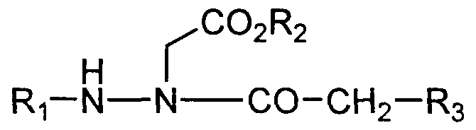 Figure imgf000005_0001