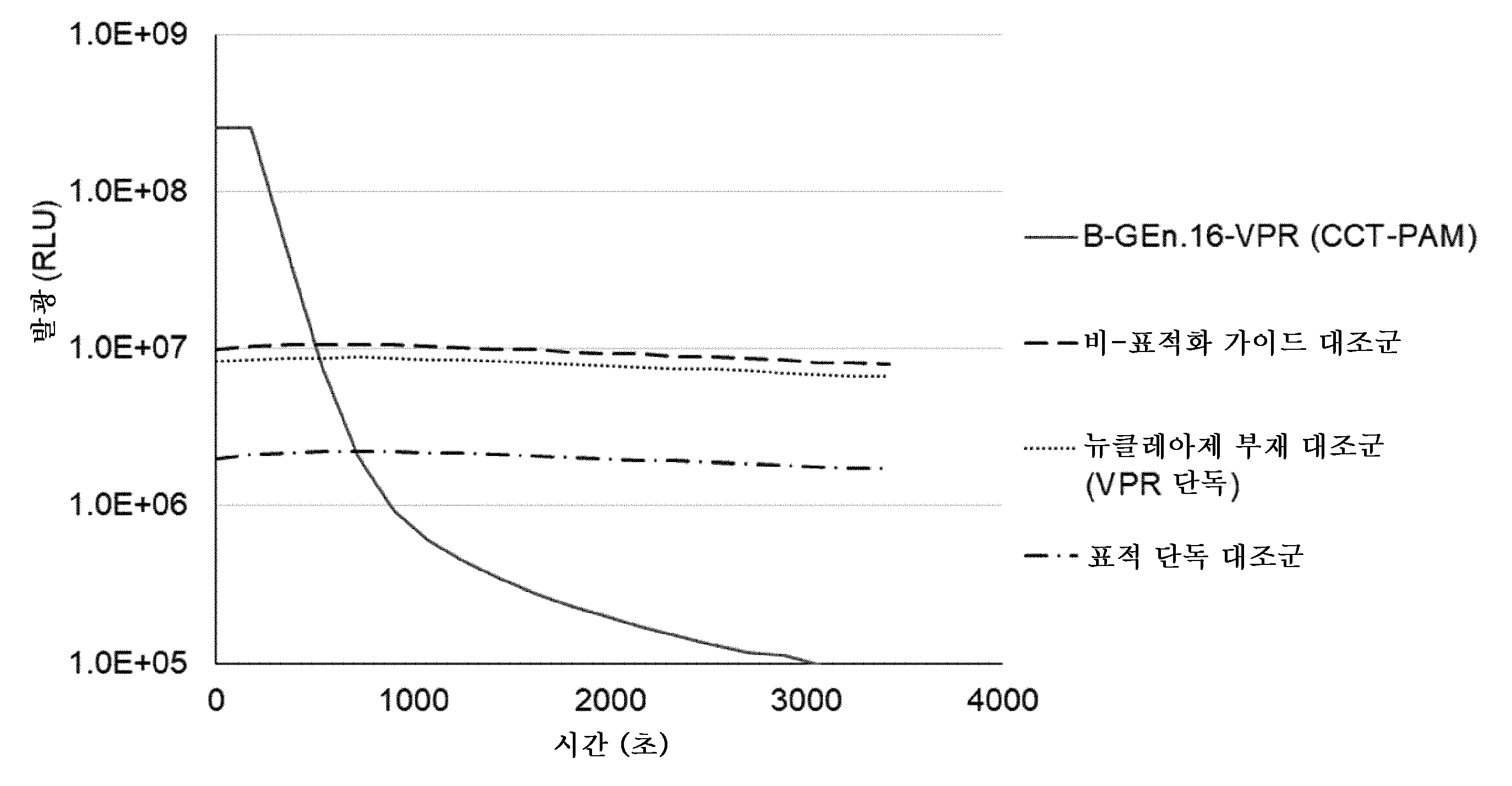 Figure P1020247040172