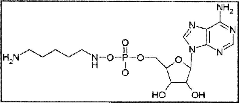 Figure BPA00001350255800143