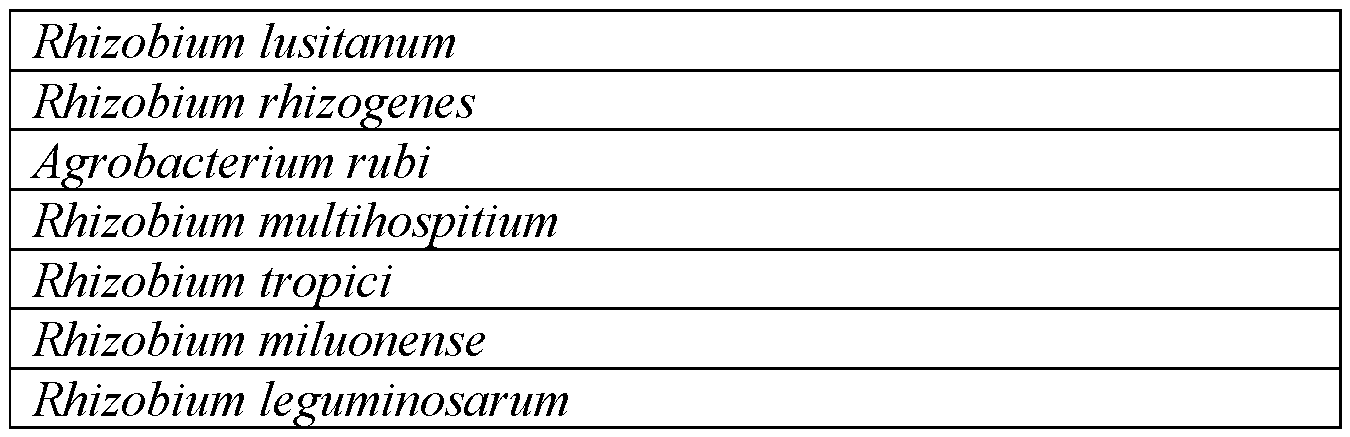 Figure imgf000033_0002