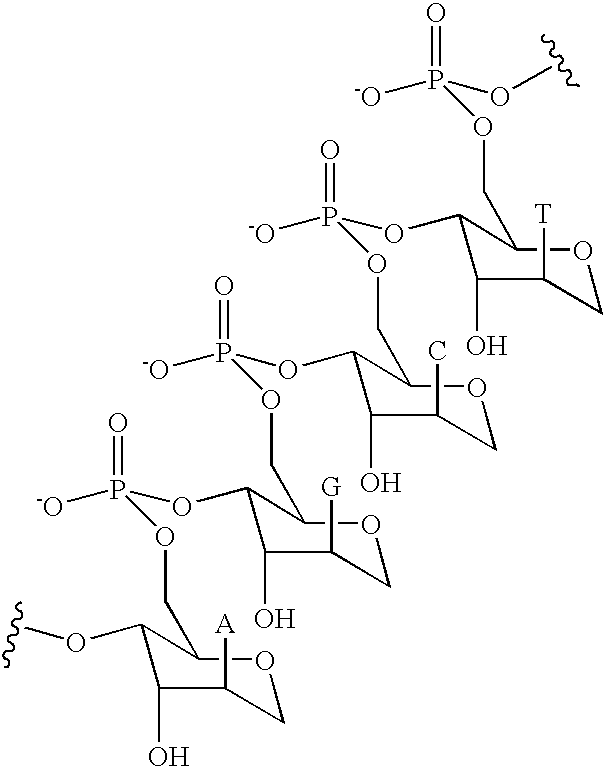 Figure US20060014144A1-20060119-C00013