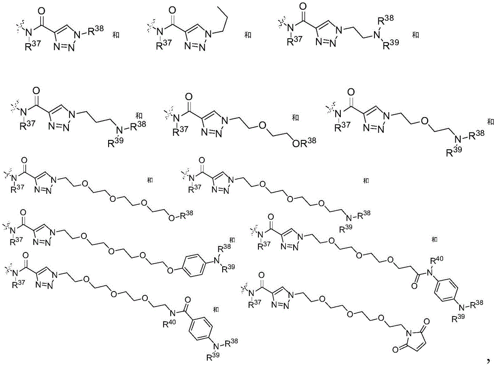 Figure GDA0002483706190000501