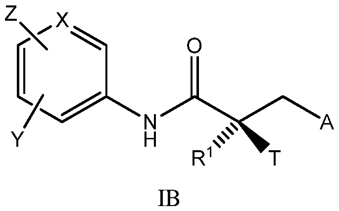 Figure imgf000013_0001