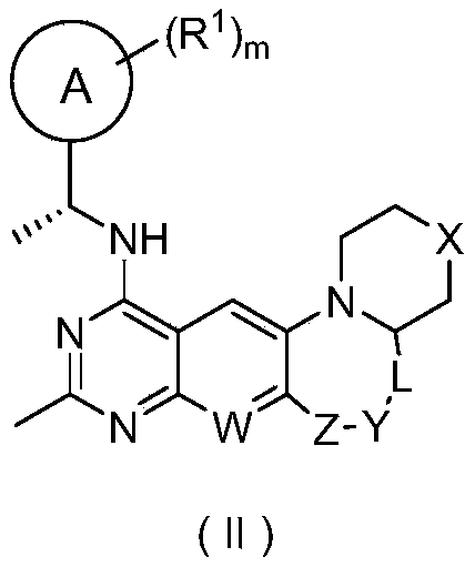 Figure PCTCN2022107001-appb-100002