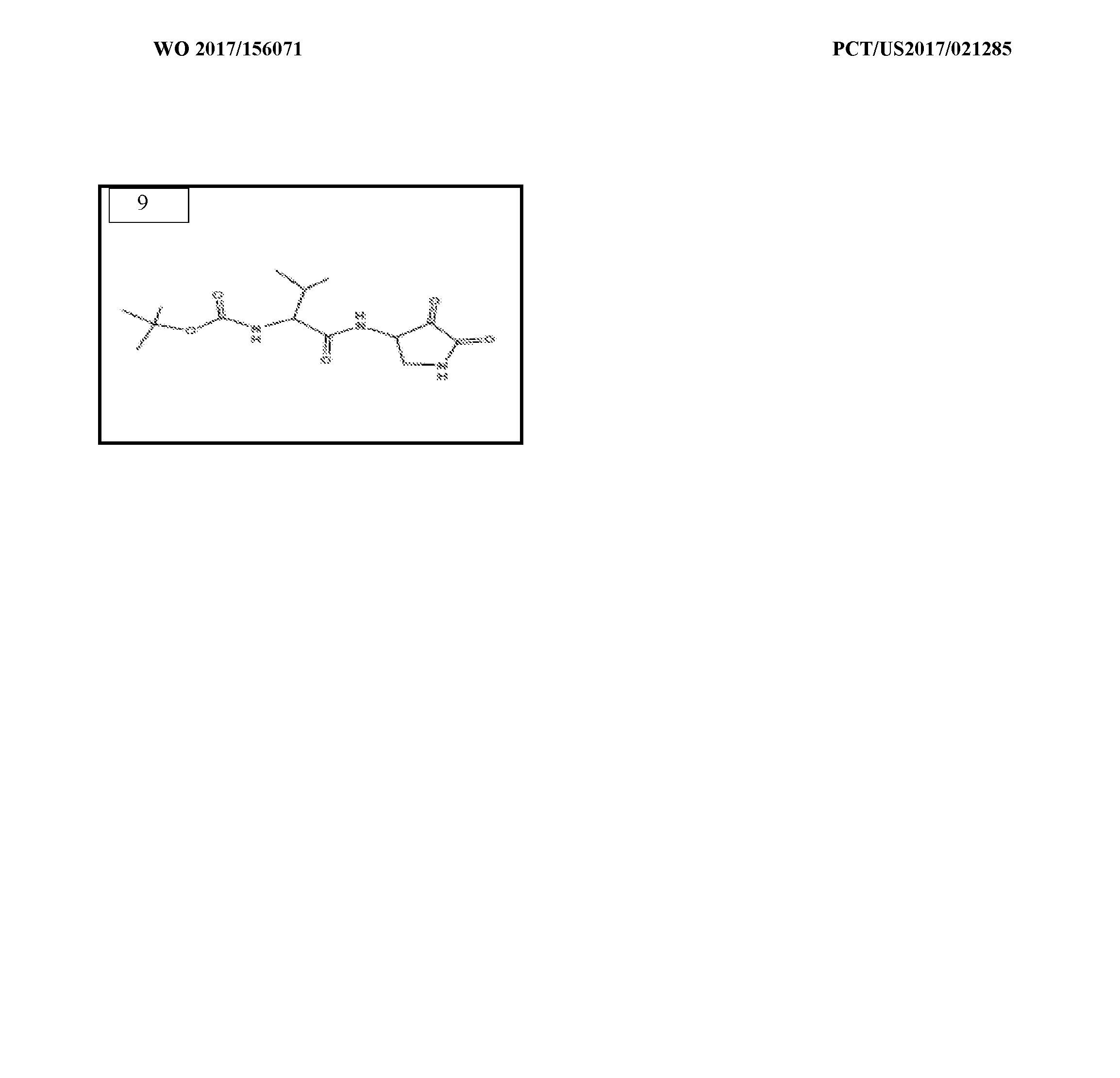 Figure imgf000086_0001