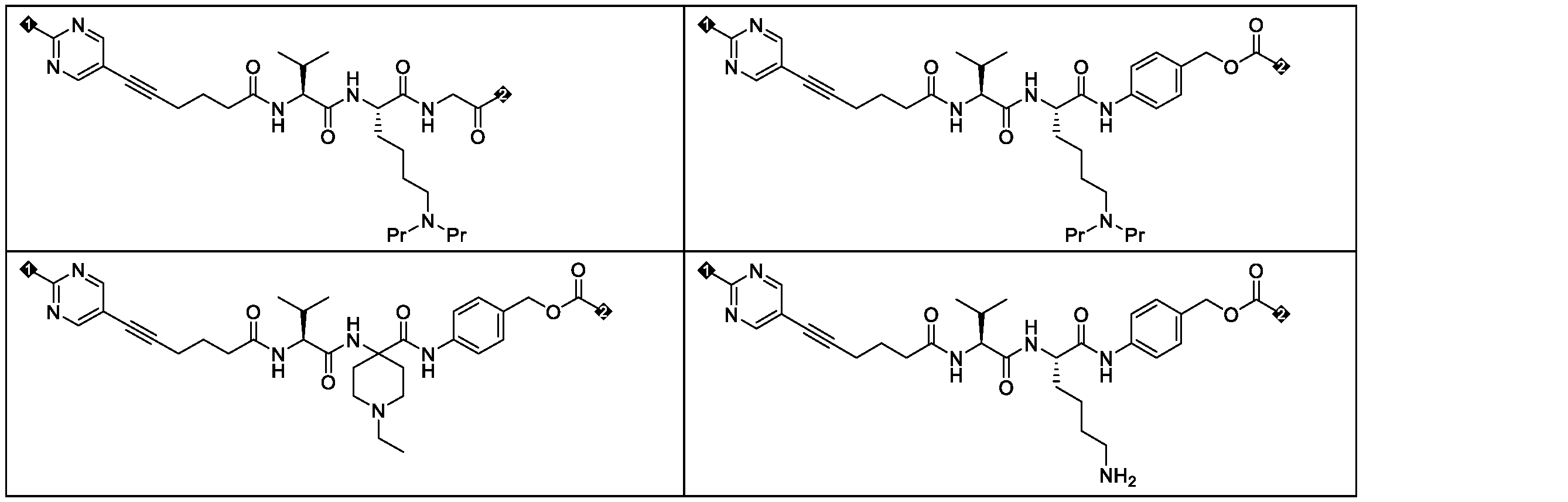 Figure 2025516873000166